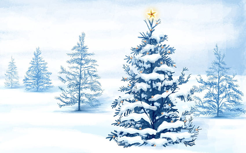 Snow, Vector, Fir, Spruce, Star HD wallpaper