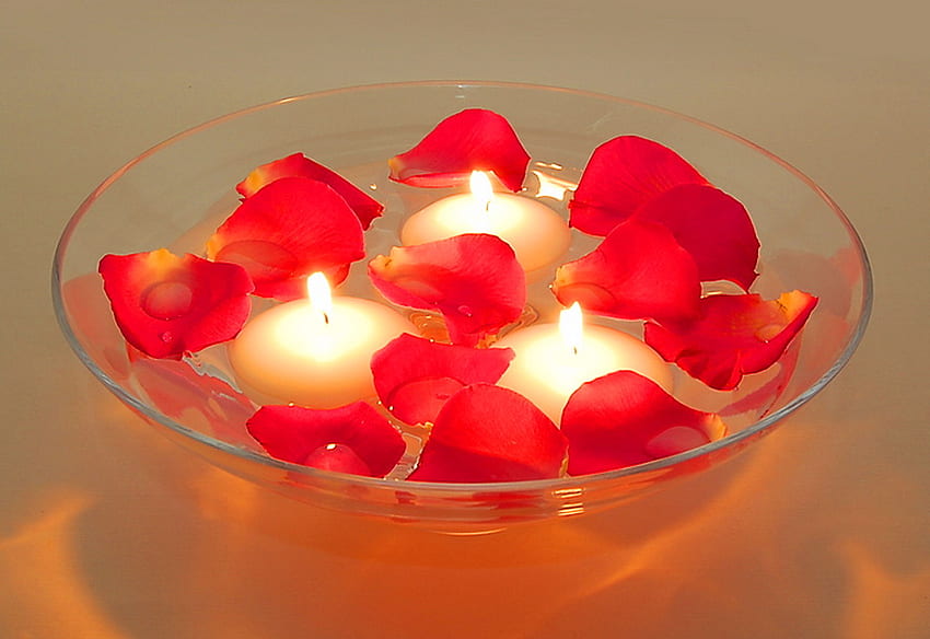 Płatki i płomienie dla Pani Anny, róże, płatki, płomienie, szkło, świece Tapeta HD