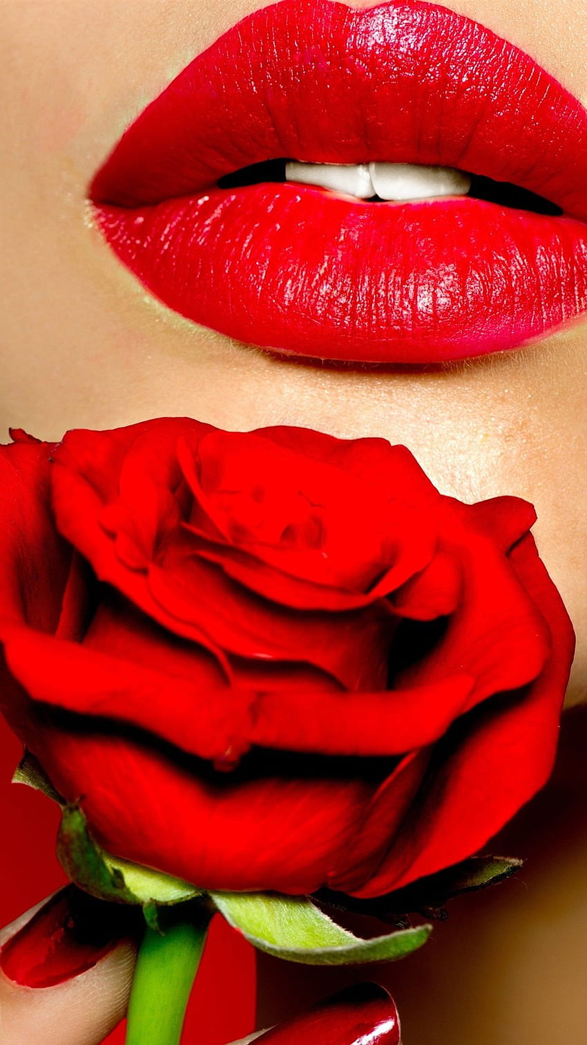 Girl face, lips, lipstick, red rose flower iPhone, Lips 6 Plus HD phone