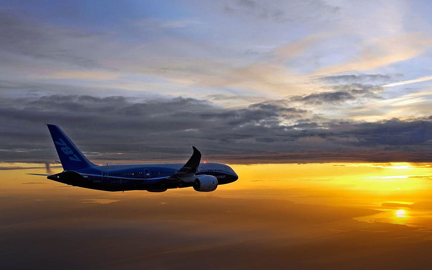 Avión de pasajeros hermoso nuevo. Boeing 787 fondo de pantalla