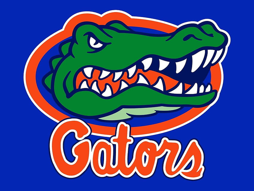 Alligatoren-Logo - Bing . Florida HD-Hintergrundbild