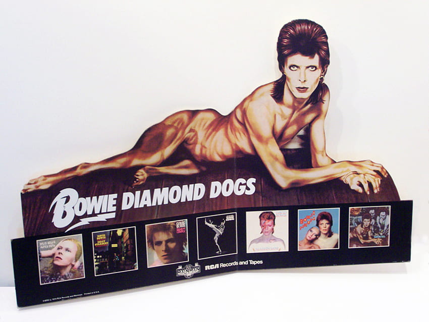 DIAMOND DOGS, dogs, bowie, diamond, david HD wallpaper