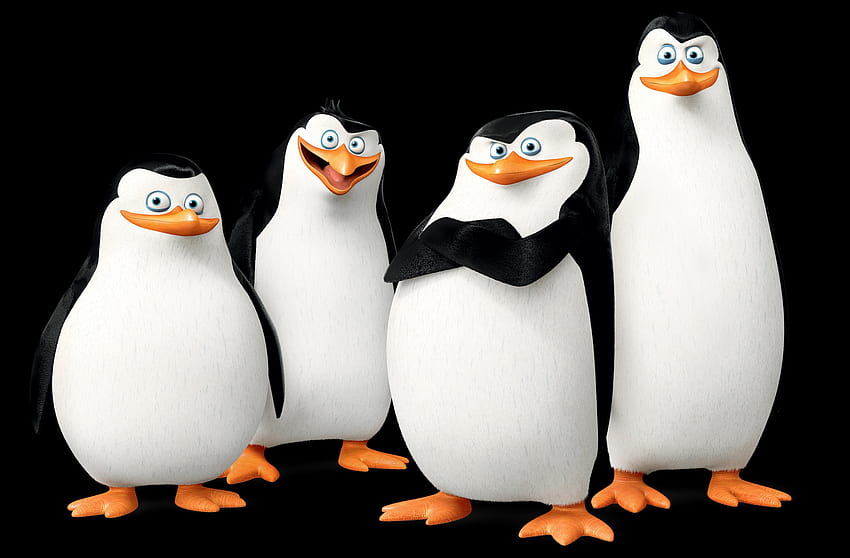 Penguins Of Madagascar, africa, madagascar, penguins, bird HD wallpaper