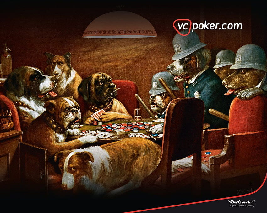 ポーカー PC 用ポーカー []、モバイル、タブレット用。 ポーカーをしている犬を探る。 ポーカーをする犬、雪で遊ぶ犬 高画質の壁紙