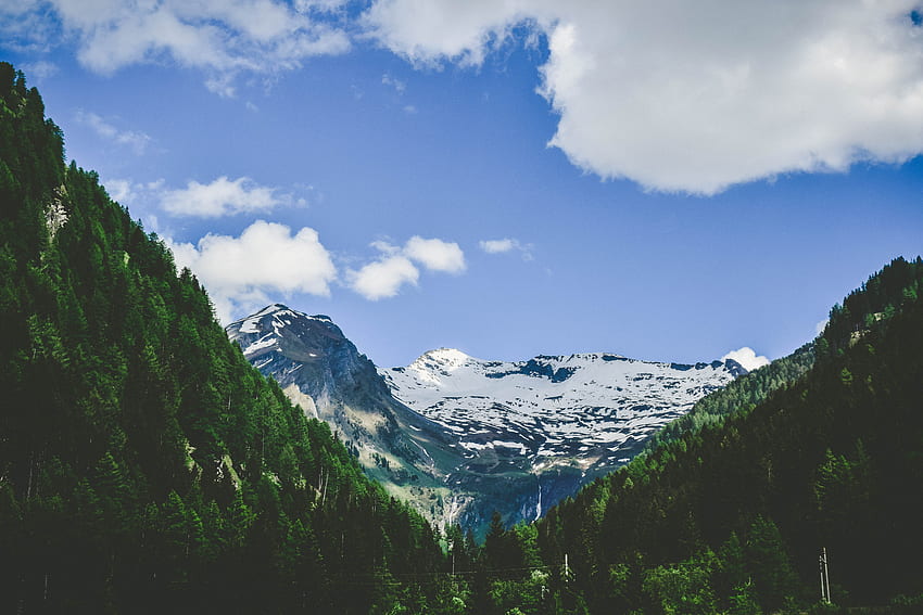 Natura, drzewa, góry, wierzchołek, szczyt, Alpy Tapeta HD