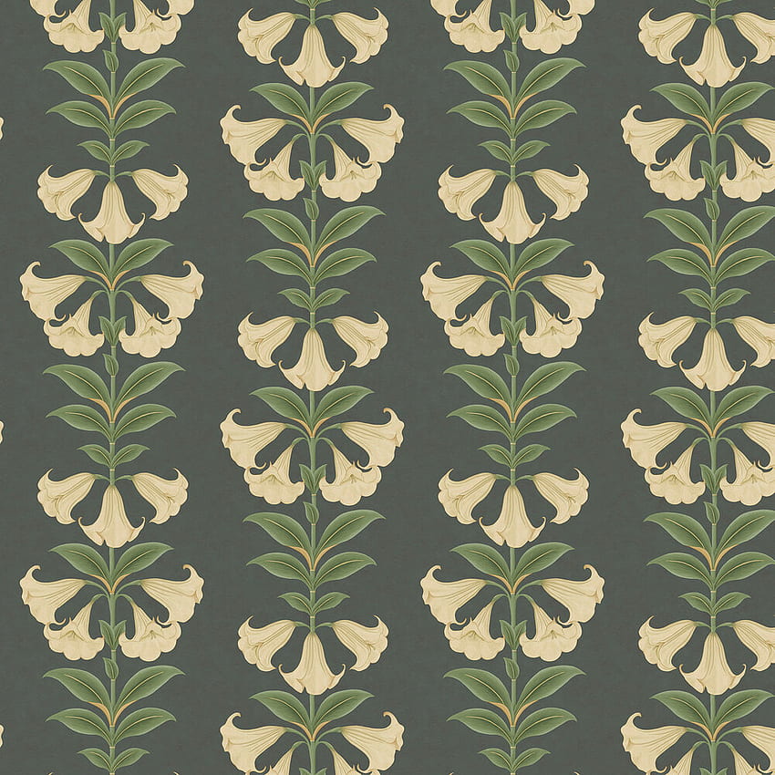 Angel's Trumpet by Cole & Son - Cream & Olive Green on Charcoal - : ダイレクト HD電話の壁紙