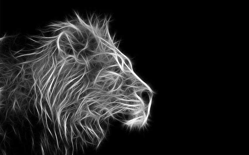 Lion Black And White Background For 1920 x 1200 HD wallpaper | Pxfuel