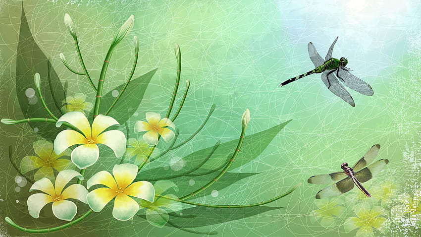 Dragonflies, Dragonfly Art HD wallpaper