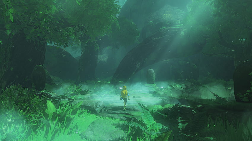 Zelda di hutan Korok, Hutan Bawah Laut Wallpaper HD