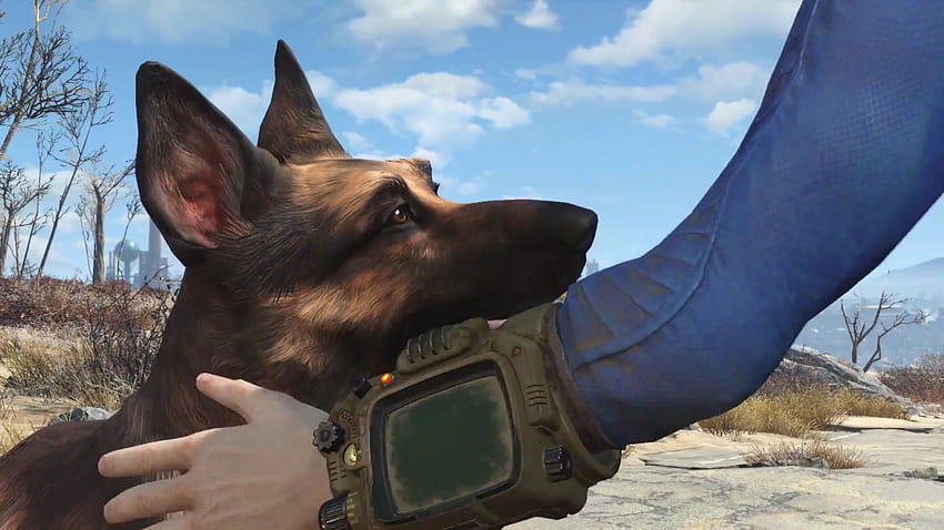 Fallout 4 would never work on the PlayStation 3 and Xbox 360, Dog Meat Fallout 4 HD wallpaper