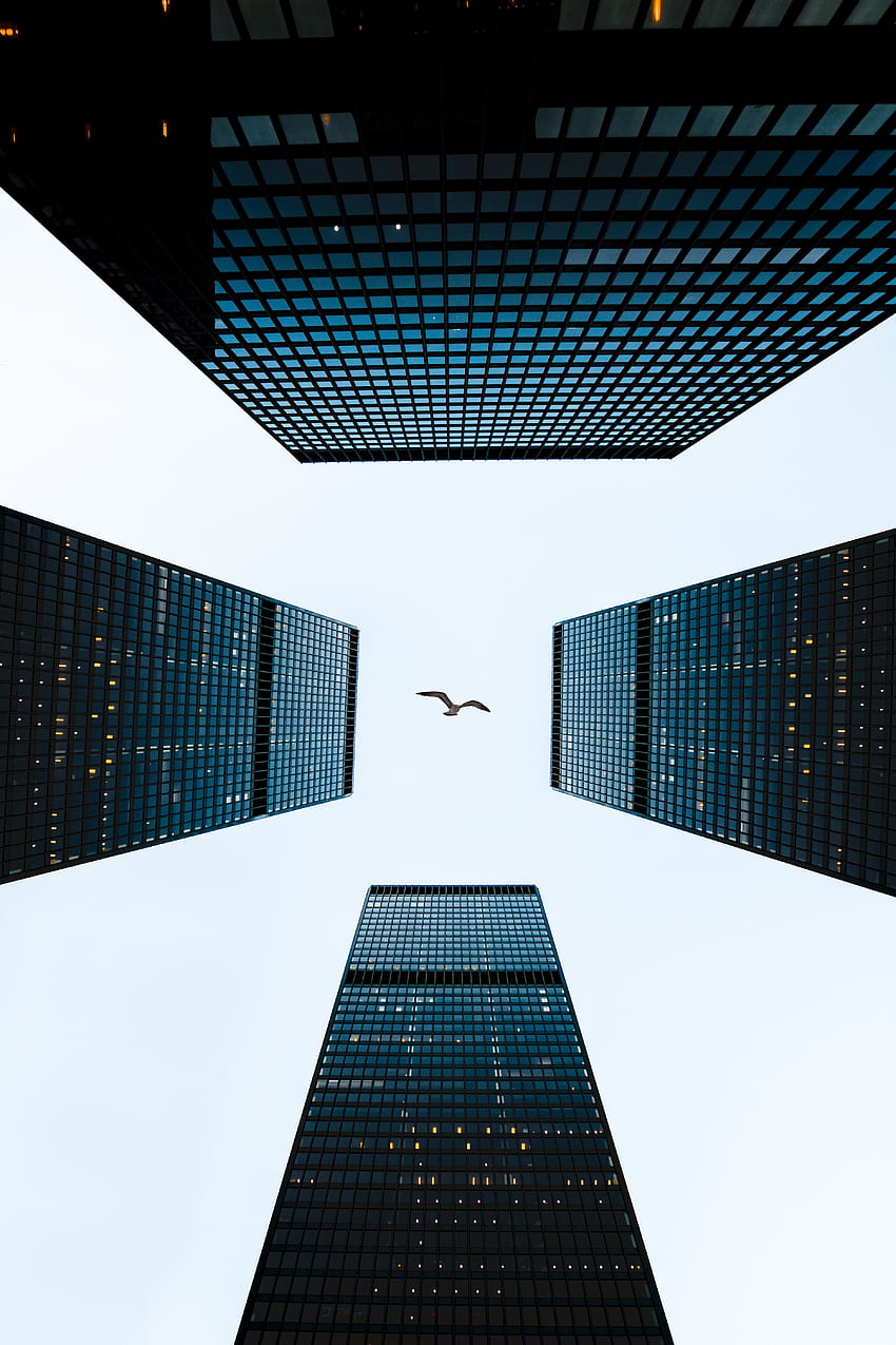 Sky, Architecture, Building, Bird, Minimalism, Skyscrapers, Tower, Towers HD phone wallpaper