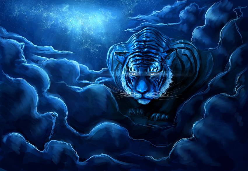 Tiger Wildlife Sanat Eseri, Mavi Kaplan HD duvar kağıdı