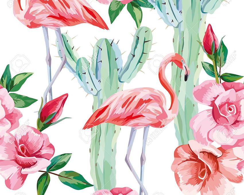 Wektor bez szwu kompozycji Pink Flamingo Cactus Roses Cool [] dla Twojego telefonu komórkowego i tabletu. Przeglądaj kaktusy. Kaktus, kaktus, kaktusowa granica Tapeta HD