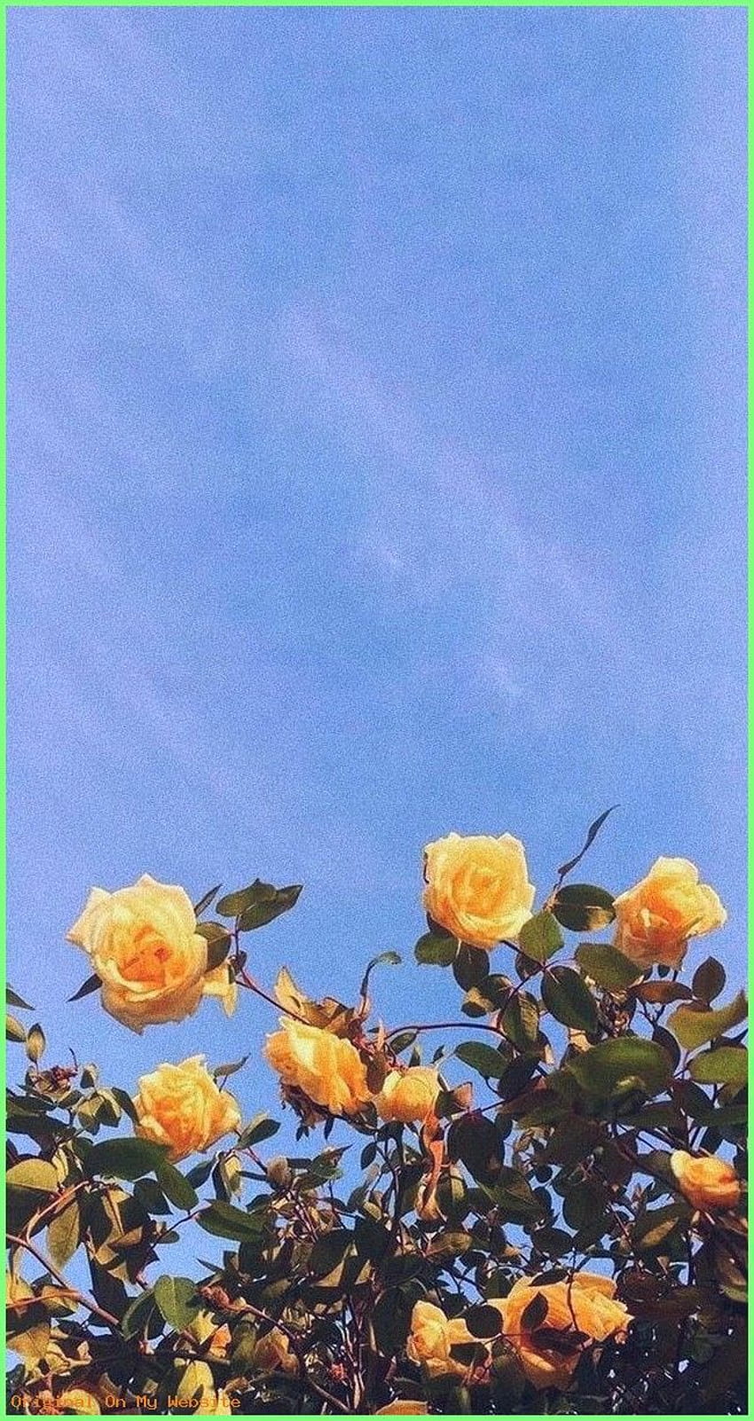 Yellow Flower Aesthetic Yellow Blue Aesthetic Hd Phone Wallpaper Pxfuel