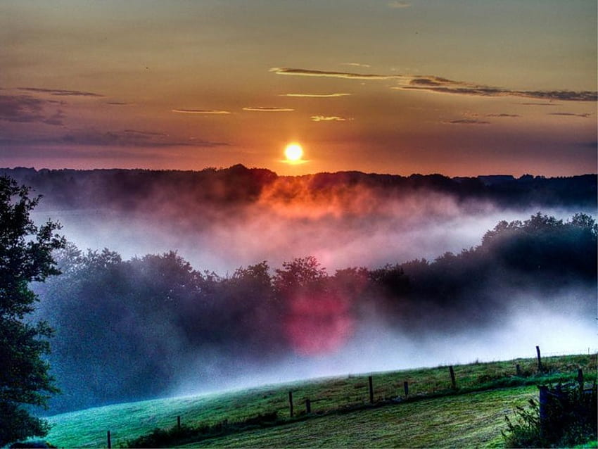 Quando é de manhã cedo, névoa matinal, árvores, campos, céu, sol, nascer do sol papel de parede HD