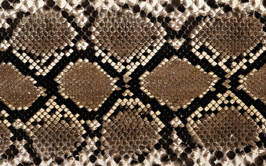 Snakeskin . Snakeskin , Snake Texture HD wallpaper