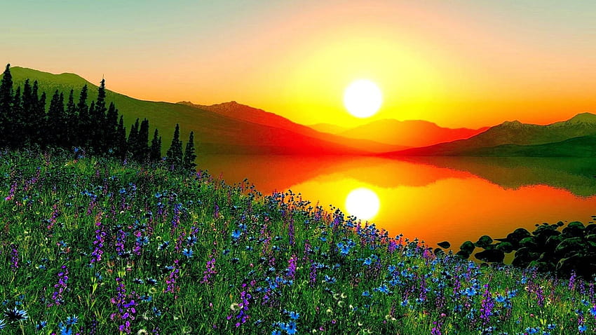 Sunrise [] pour votre , Mobile & Tablette. Explorez de beaux levers de soleil. Levers de soleil, lever de soleil, lever de soleil, lever de soleil panoramique Fond d'écran HD