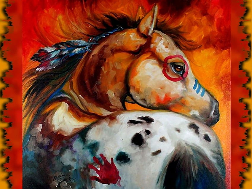 Horse Page 3: Baldwin Marcia Appaloosa Equine American, Native American Horses HD wallpaper