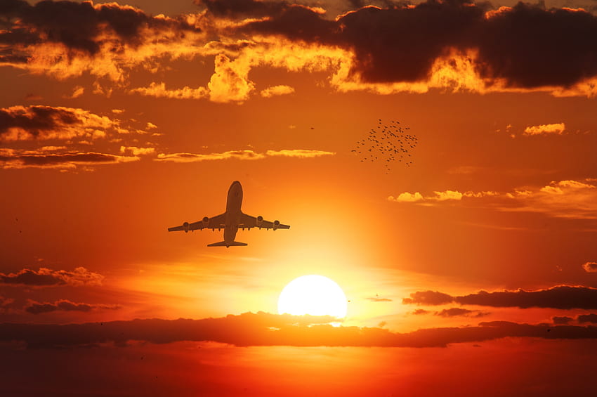 Birds, Sunset, Sky, Sun, , , Flight, Airplane, Plane HD wallpaper