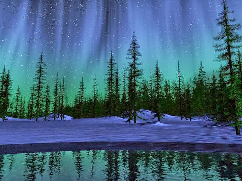 Northern lights live , aurora, natural landscape, nature, tree, sky ...