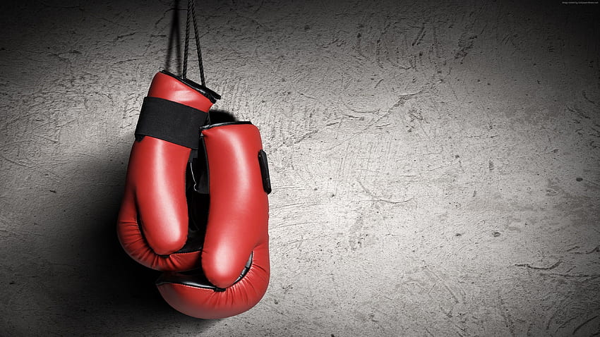 Boxing gloves, red, boxing, Sport, Cool Boxing HD wallpaper