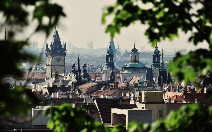 都市, 木, 都市, 建物, プラハ, チェコ共和国, Czechia 高画質の壁紙
