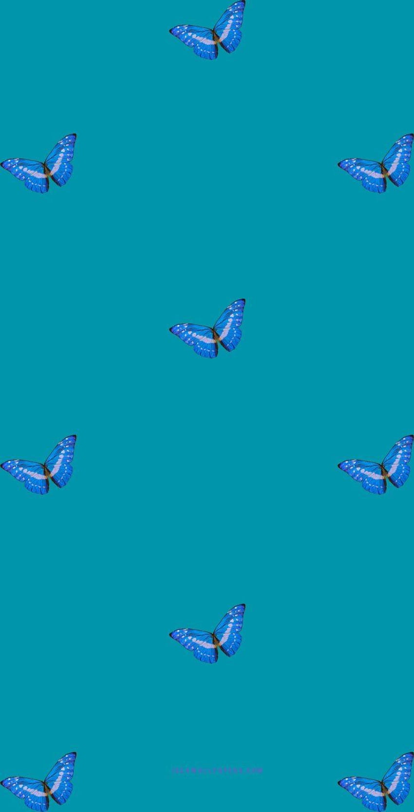 Niebieski motyl na turkusowym tle - Idea, iPhone, schematy kolorów Tapeta na telefon HD