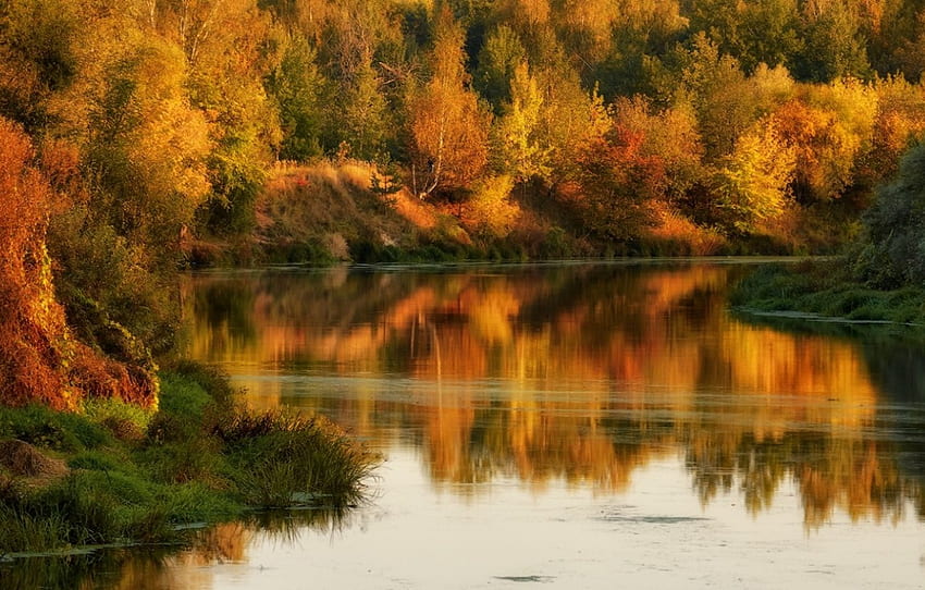 wrzesień, jesień, jesień, las, liście, jezioro Tapeta HD