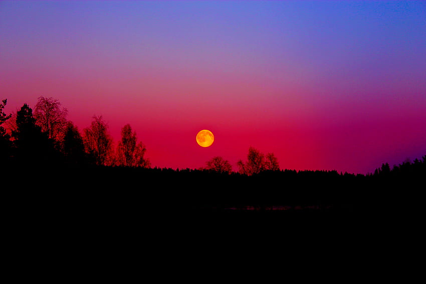 Yellow moon, night, sky, moon, dusk HD wallpaper