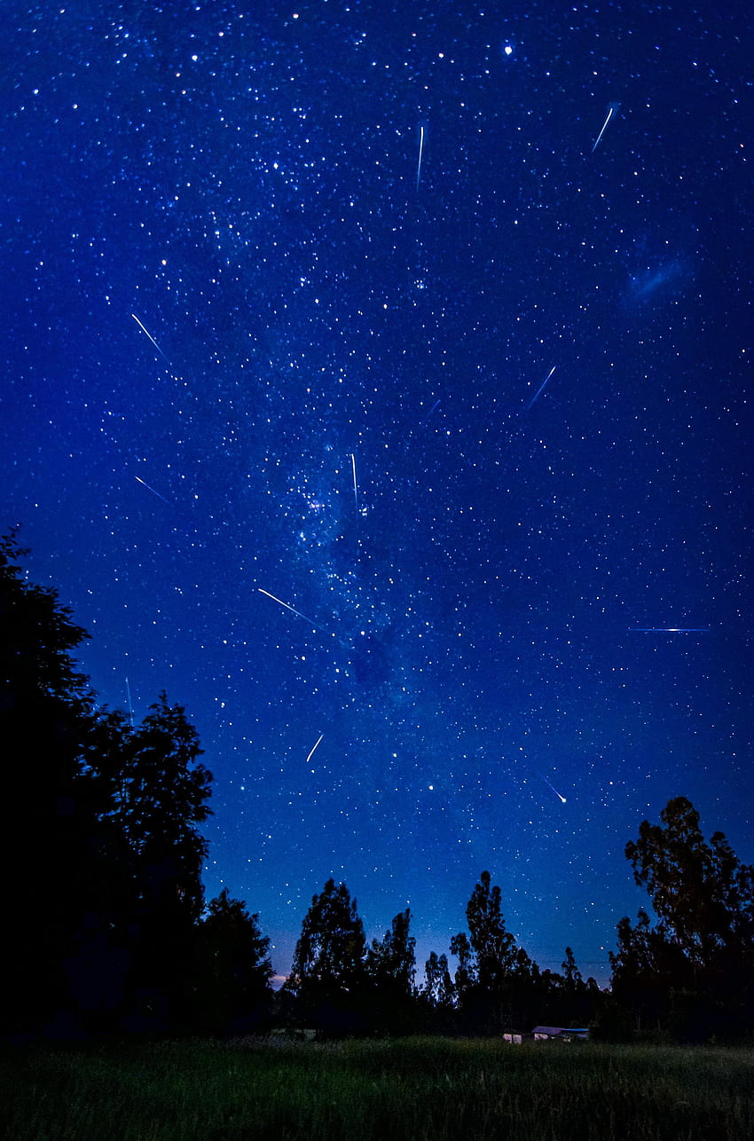 Nature Trees Night Starry Sky Comet Comets Hd Phone Wallpaper Pxfuel