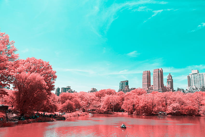 뉴욕시가 분홍색으로 변하다: 적외선 NYC, NYC 봄 HD 월페이퍼