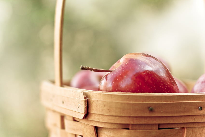 Food, Apple, Fruit, Basket, Ripe HD wallpaper