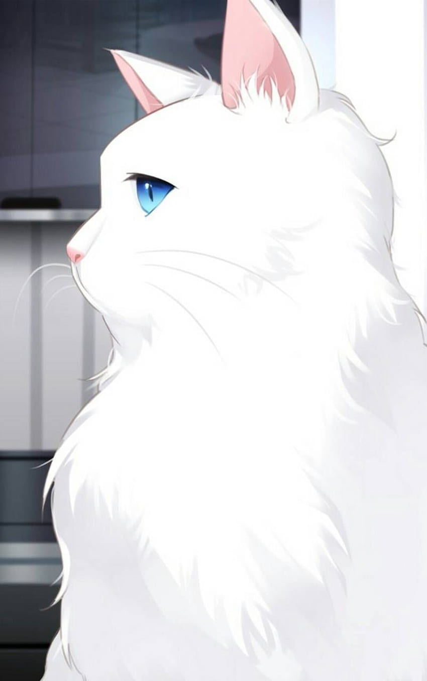 Mystery Cat, White Cat Anime HD phone wallpaper