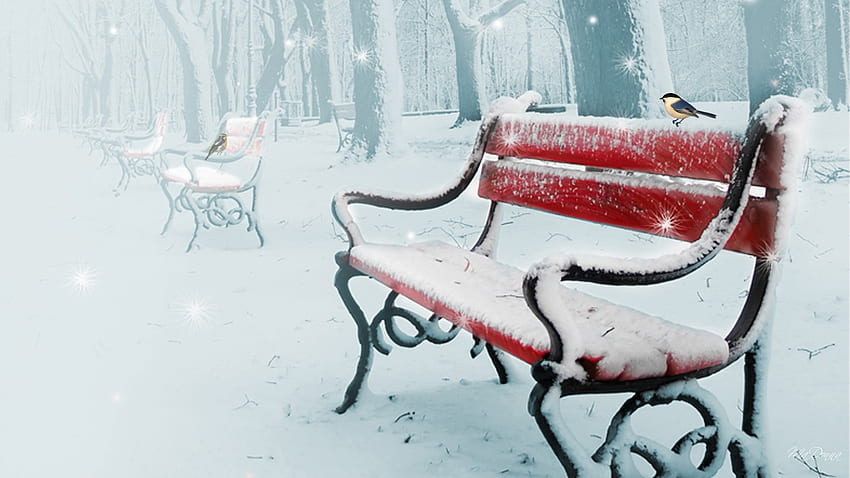 Snow in the Park, winter, chickadee, birds, red bench, snowing, snow, Firefox Persona theme, park HD wallpaper