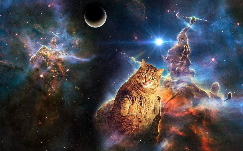Gato Espacial. Fundo. . ., Astronauta Gato Galáxia papel de parede HD