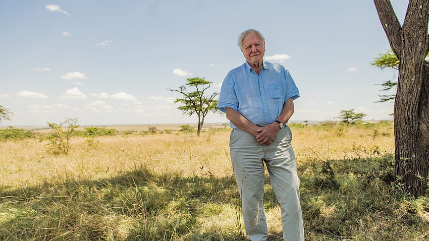 Recensione del film David Attenborough: A Life on Our Planet: David Attenborough vuole salvare il mondo in un nuovo film Sfondo HD
