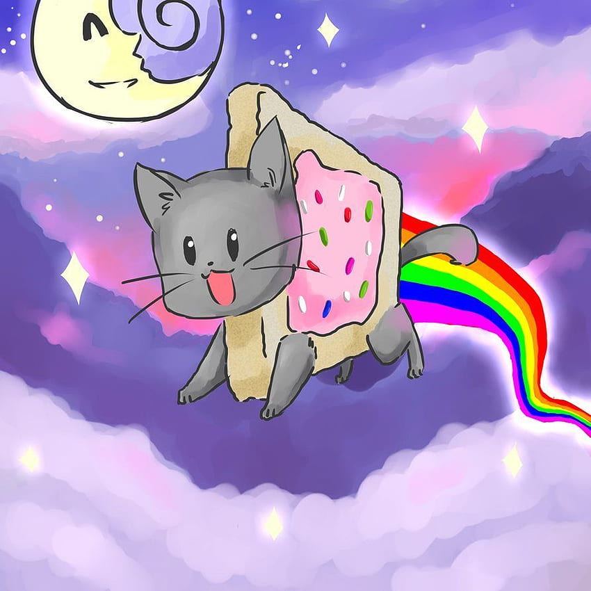 Nyan Cat and Easy To Follow Ideas About Taking Care Of, Nyan Cat Phone HD phone wallpaper