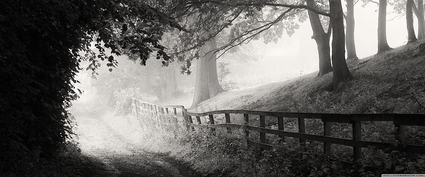 Foggy Morning, Road, Black and White Ultra Background for U TV : & UltraWide & Laptop : Tablet : Smartphone, Black and White 3840X1600 HD wallpaper