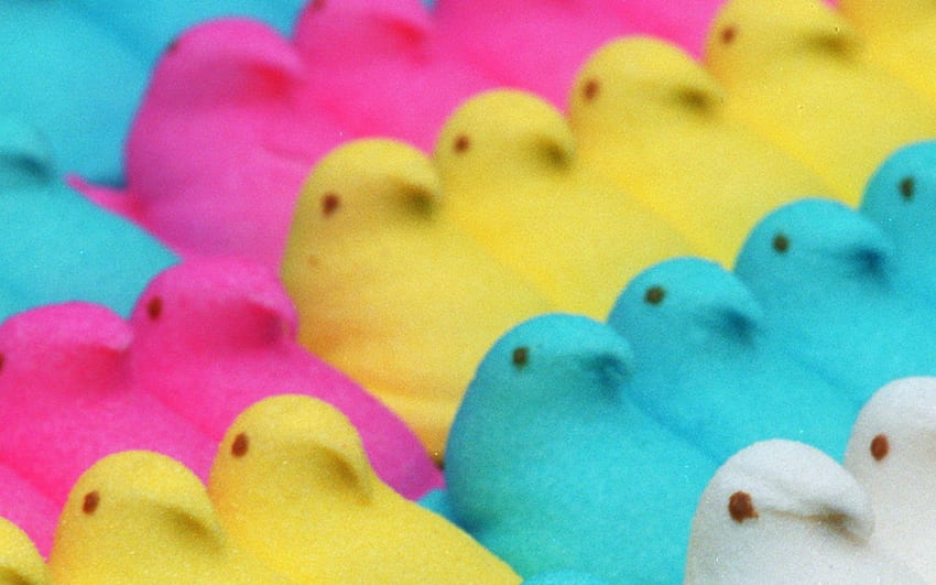 Land Candies peeps and mobile background [] for your , Mobile & Tablet. Explore Peep . Easter , Easter s, Marshmallow HD wallpaper