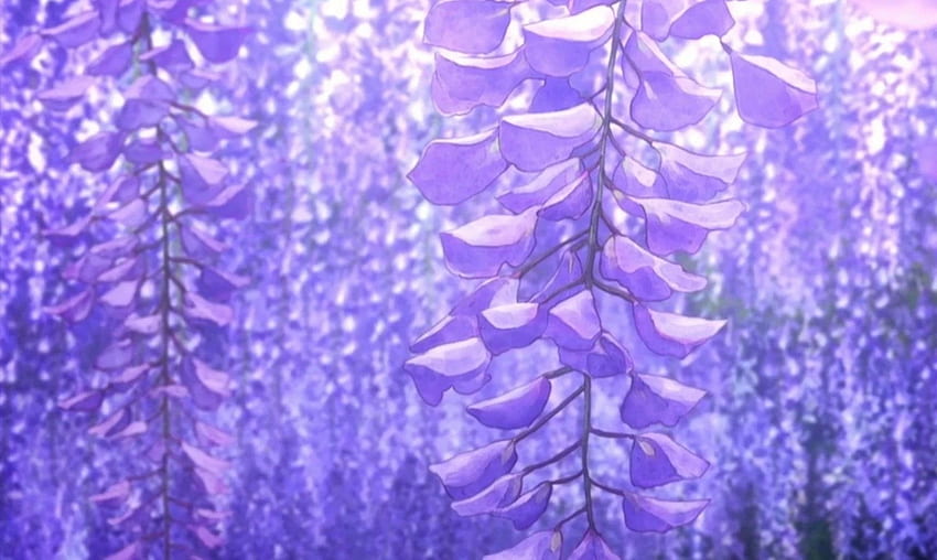 Glyzinien-Blumen, Dämonentöter-Blume HD-Hintergrundbild