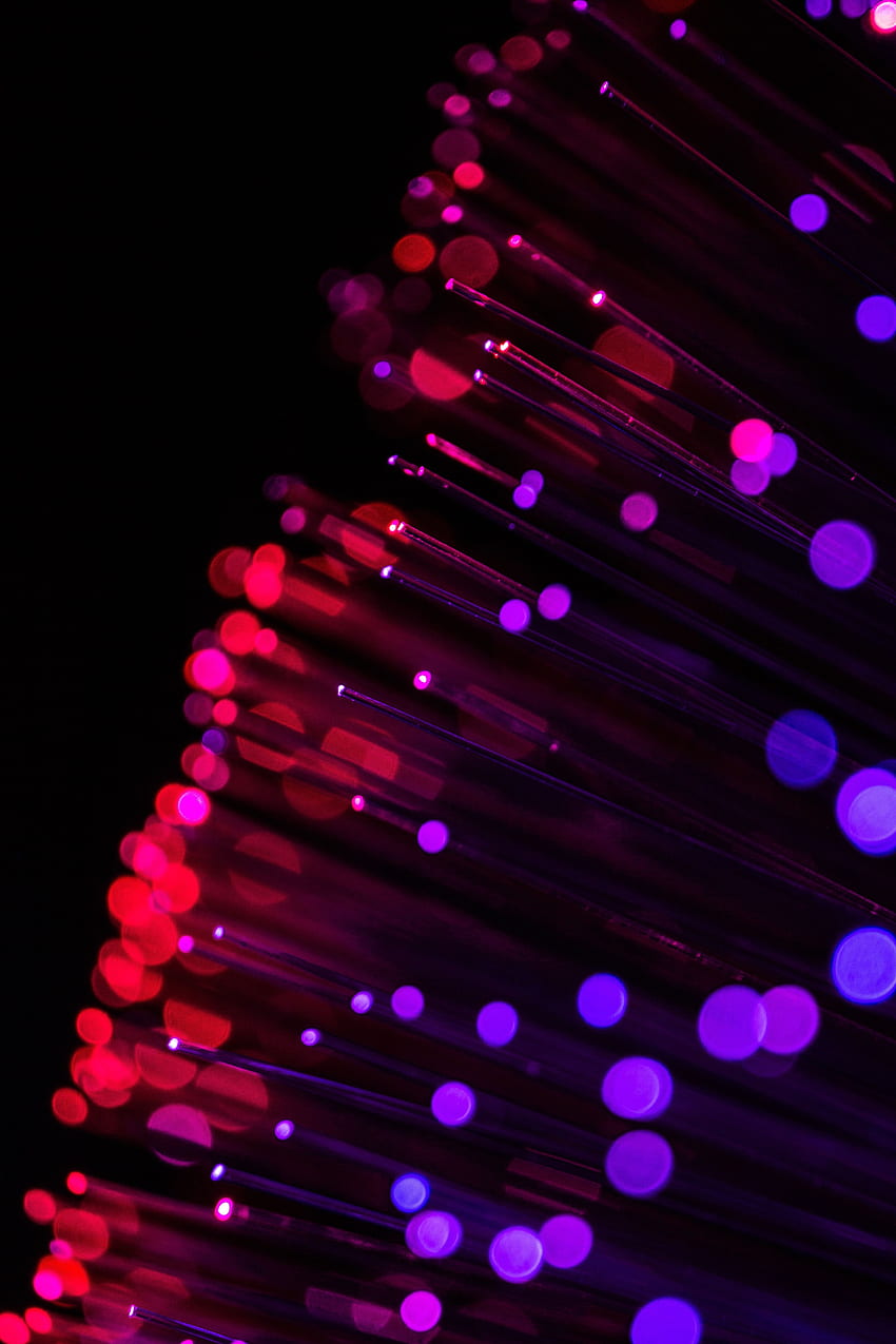 optical fiber, glare, thread, Red and Purple HD phone wallpaper