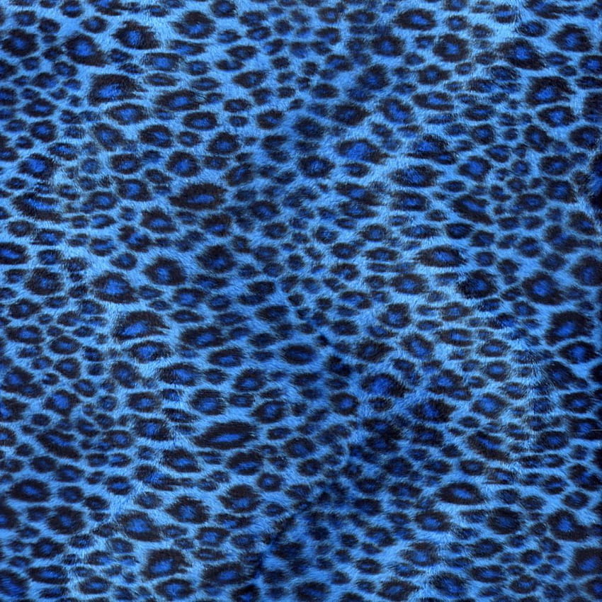 Hayvan Baskısı ve . 74 Ürün, Mavi Leopar Desenli HD telefon duvar kağıdı
