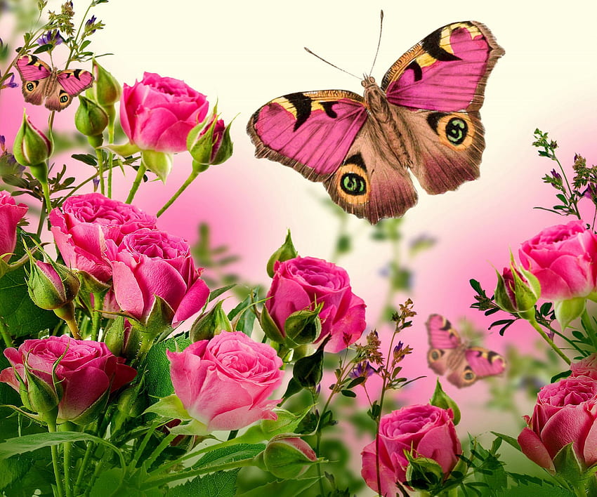 Roses and Butterfly, Rose Flowers and Butterflies HD wallpaper | Pxfuel