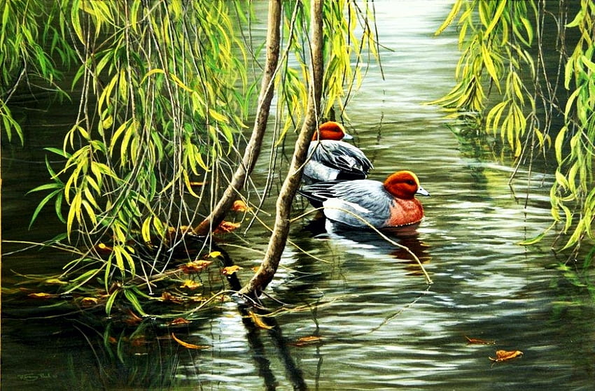 Willows and Wigeon, artwork, sunshine, ducks, reflection, painting, plants, water, pond HD wallpaper