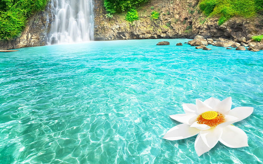 Lake Lotus Nature Rock Tropical Turquoise Waterfall White Flower - Resolution: HD wallpaper