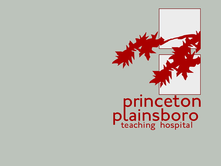 Logo der Universität Princeton HD-Hintergrundbild