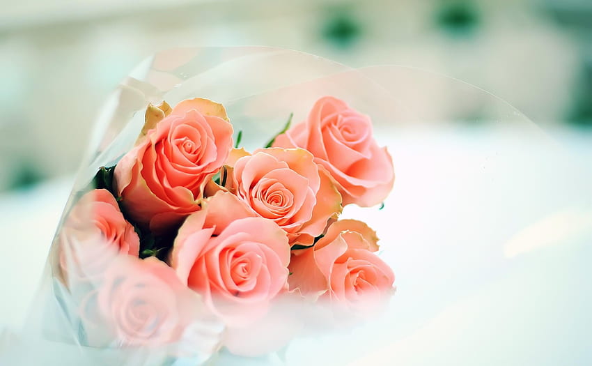 Flowers, Roses, Bouquet, Sharpness, Packaging HD wallpaper
