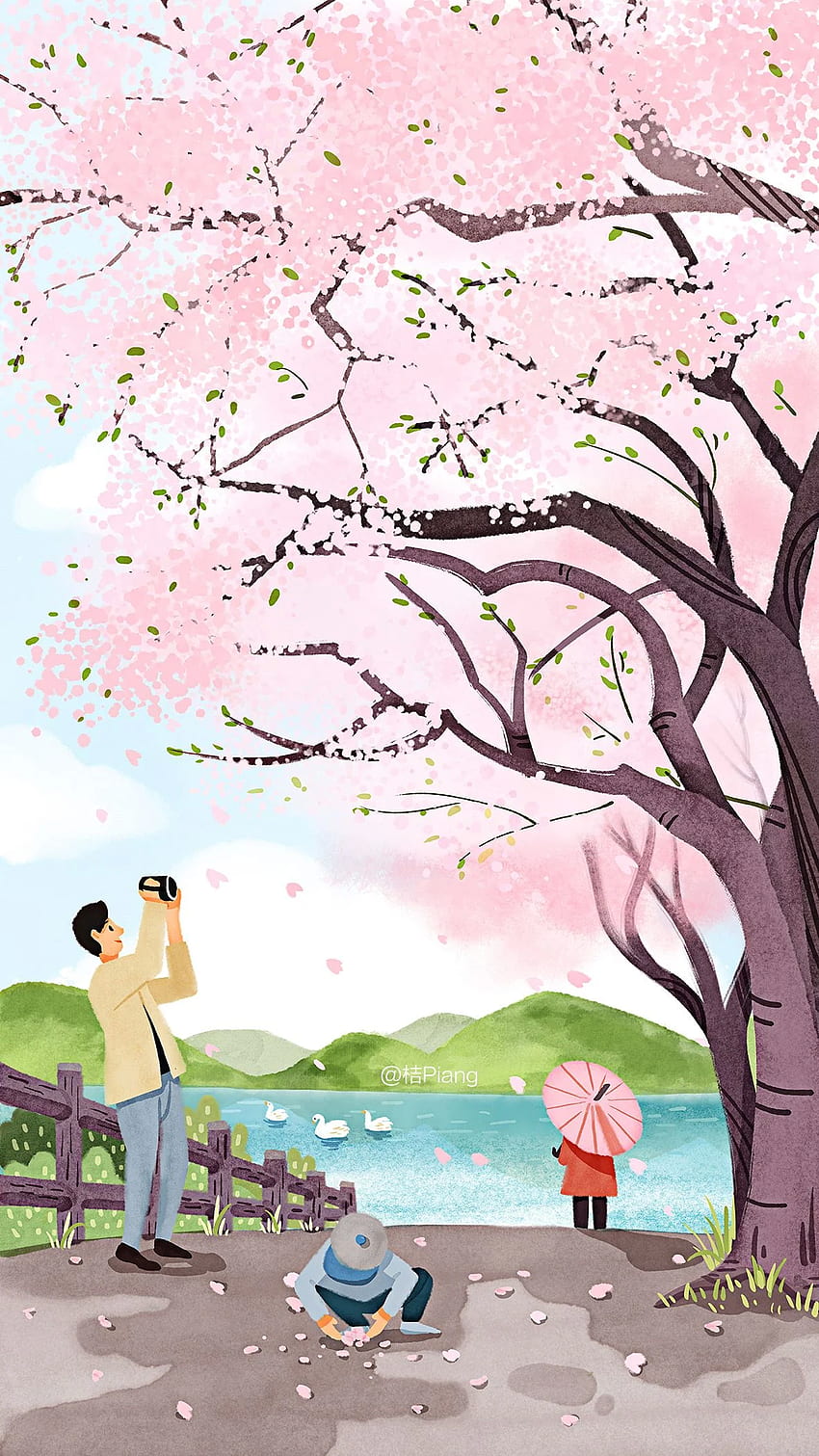 Kirschblütentelefon, Kirschblütenzeichnung HD-Handy-Hintergrundbild