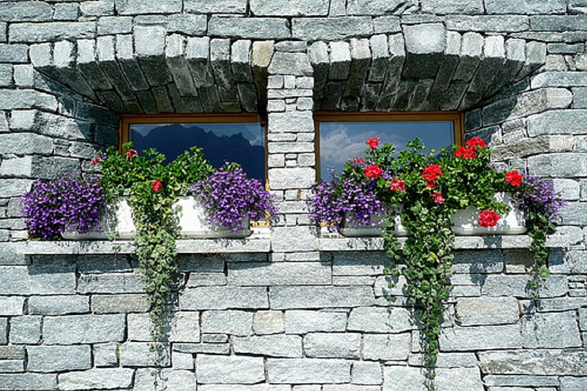 çiçekli pencereler, çiçekli, mimari, pencereler, ev HD duvar kağıdı