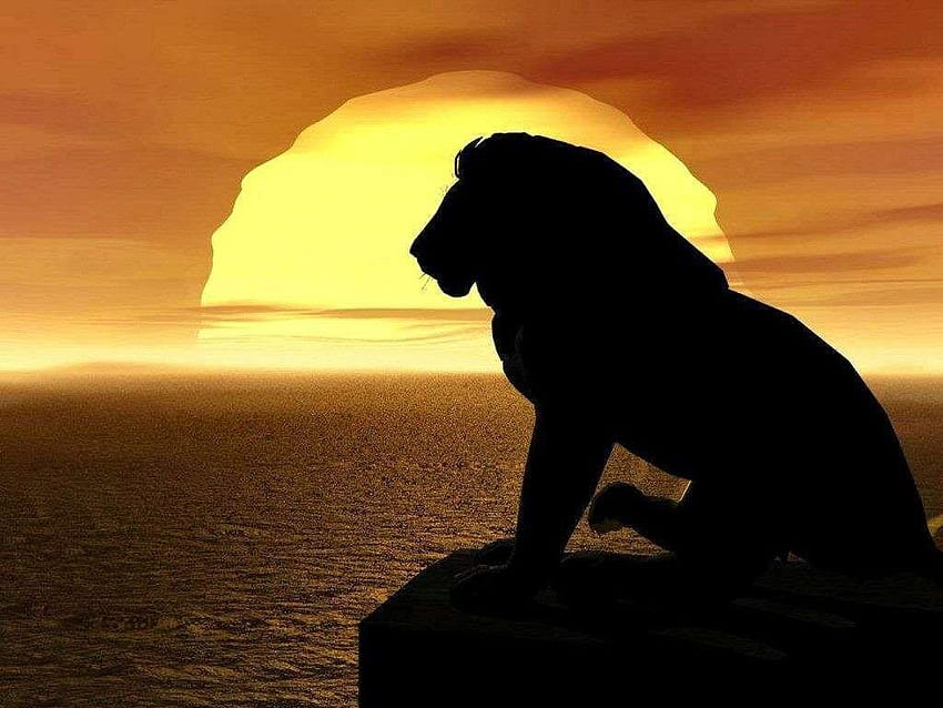Lion Sunset : This was uploaded by Praelas. Find other Lion Sunset and or upload y. Lion silhouette, Lion king , Lion HD wallpaper
